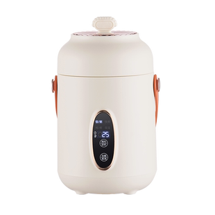 便携式电煮锅小型旅行出差多功能旅游煮粥迷你学生宿舍锅1一2人食