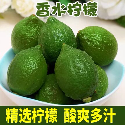 广东香水柠檬新鲜现摘无籽5斤包邮当季水果四季青柠檬奶茶店专用
