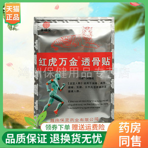 泰越宝10贴/袋成人贴膏