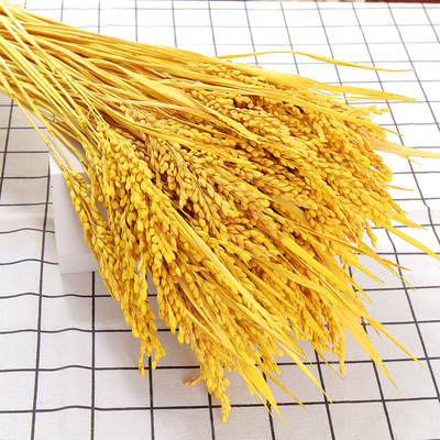 稻谷干花稻穗装饰桌面仿真假插花金色丰收拍摄影道具纯天然真稻子