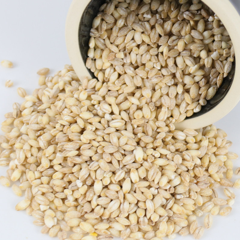 去皮大麦仁10斤精制新粮新鲜农家自种自产去壳大麦米内蒙粗粮5kg