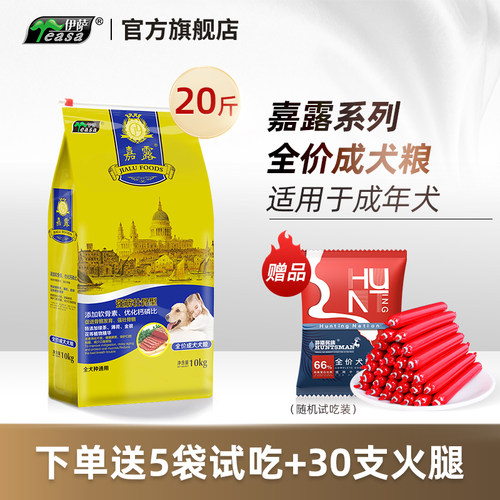 伊萨金毛拉布拉多泰迪通用型成犬