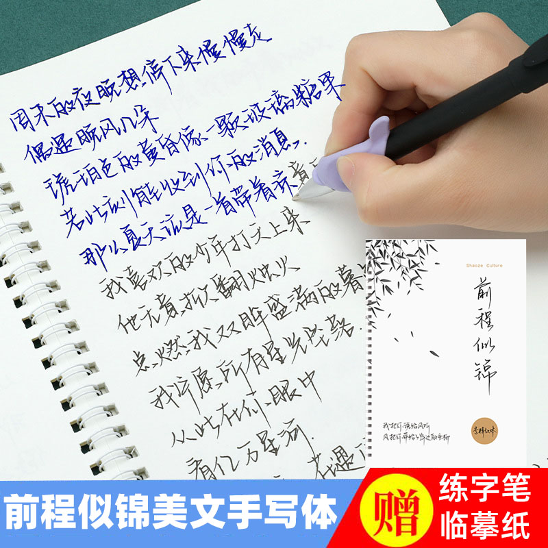 成年成人钢笔硬笔临摹男生练字帖网红女生字体漂亮行书体大学生书法本