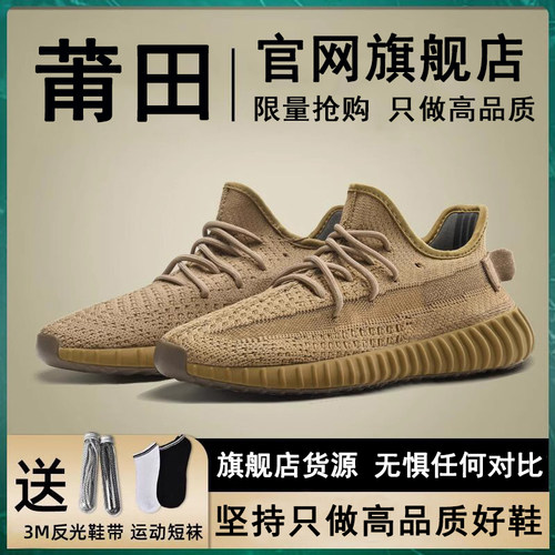 大王椰子350地球棕官方品质