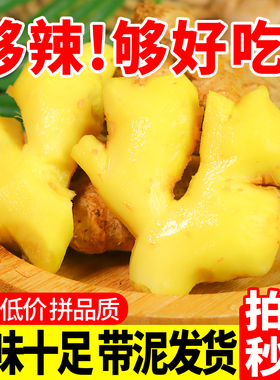 云南小黄姜5斤生姜现挖新鲜嫩姜蔬菜生姜非老姜月子姜10斤包邮
