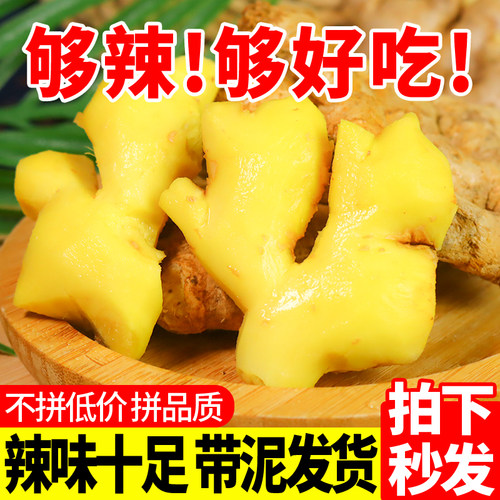 云南小黄姜高山种植现挖现发