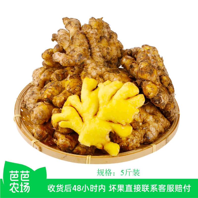 现挖现发小黄姜有坏包赔