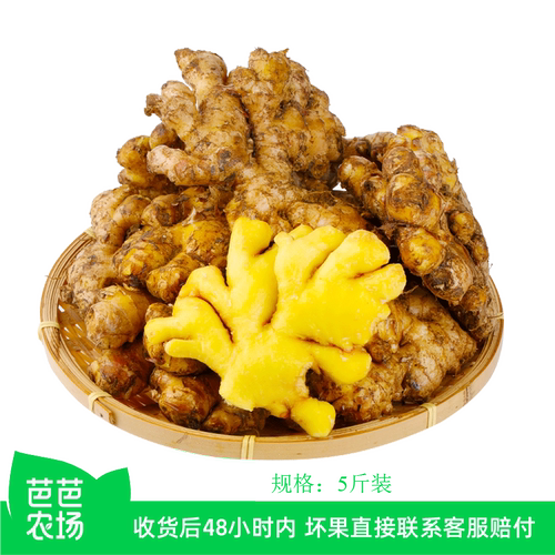 现挖现发小黄姜有坏包赔