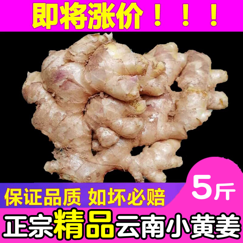小黄姜新鲜正宗云南老姜