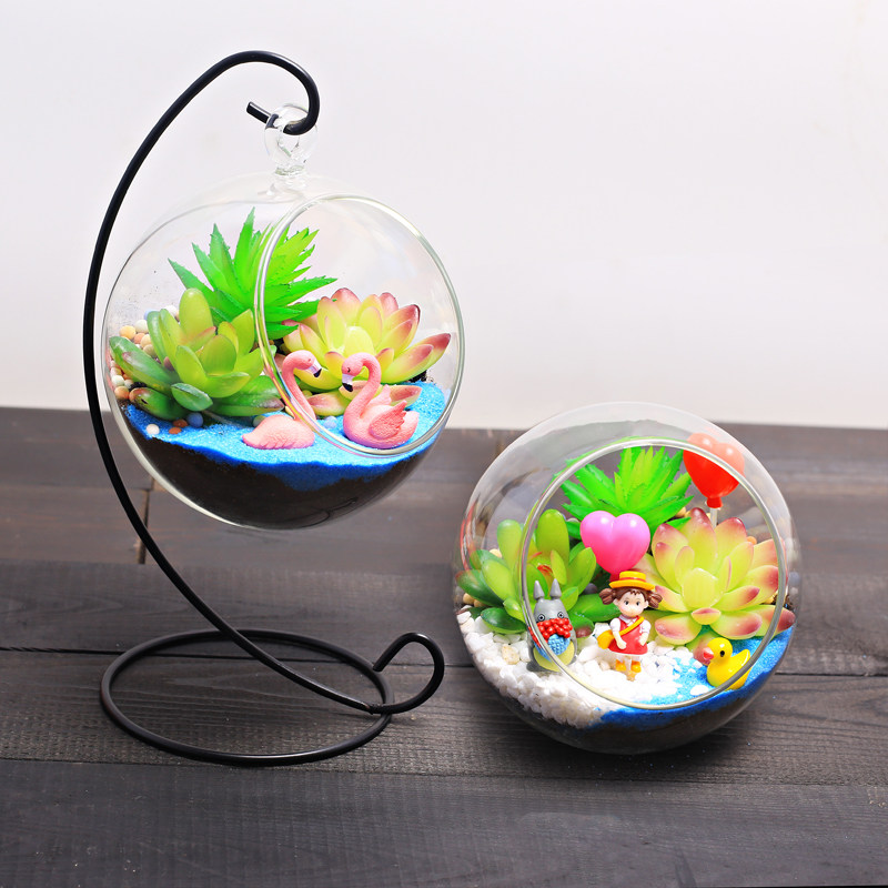 菁娇12c仿真多肉生态玻璃瓶微景观DIY材料包植物小盆栽景摆件套装