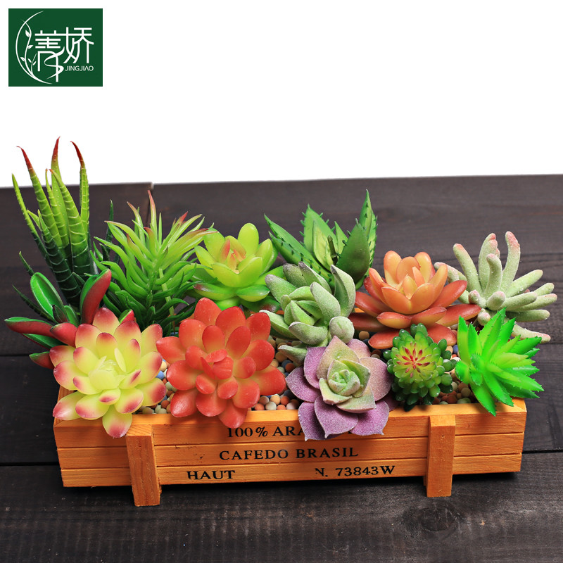 仿真多肉肉植物 微景观摆件绿植多肉园艺花卉小盆栽装饰品DIY材料