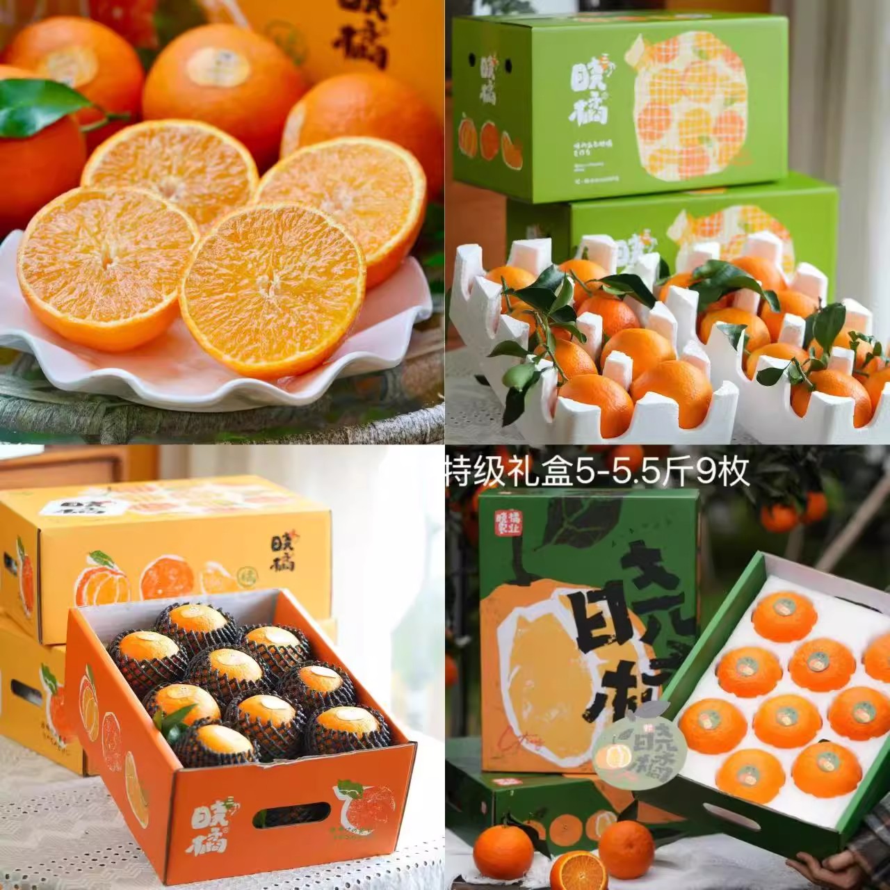晓橘农业红美人果冻橙原箱礼盒爱媛28号四川丹棱酸甜爆汁新鲜柑橘