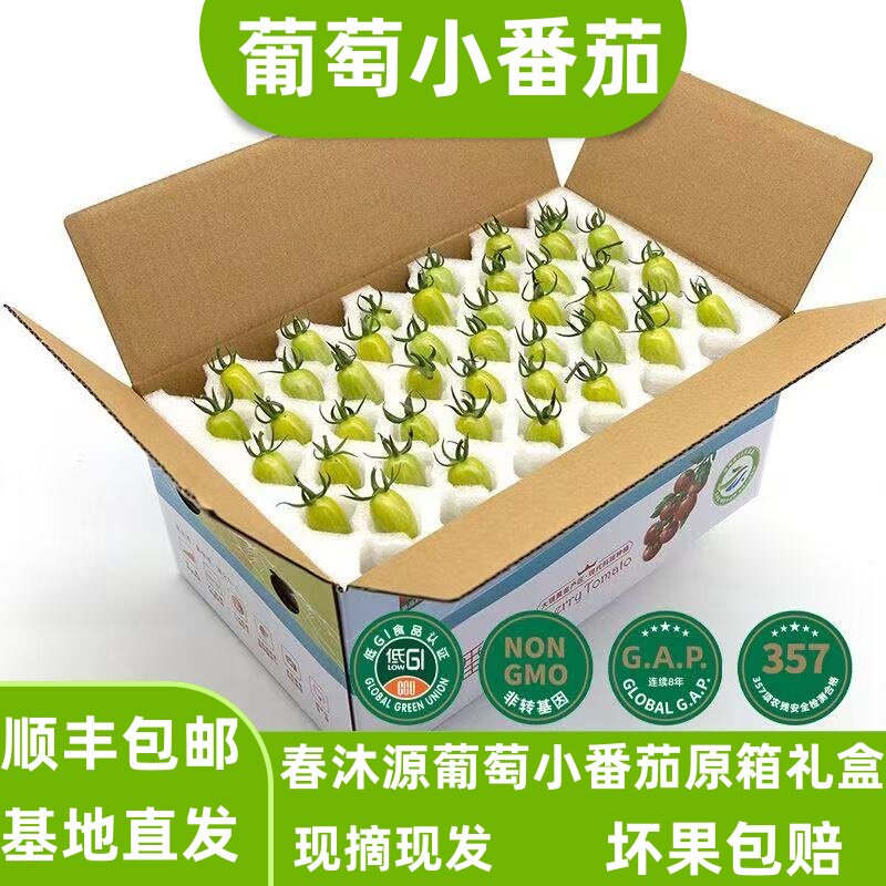 顺丰云南春沐源葡萄小番茄当季新鲜水果清甜青绿色圣女果小柿子