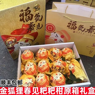 顺丰上嘉金狐狸春见粑粑柑原箱礼盒新鲜孕妇水果纯甜橘子四川柑橘