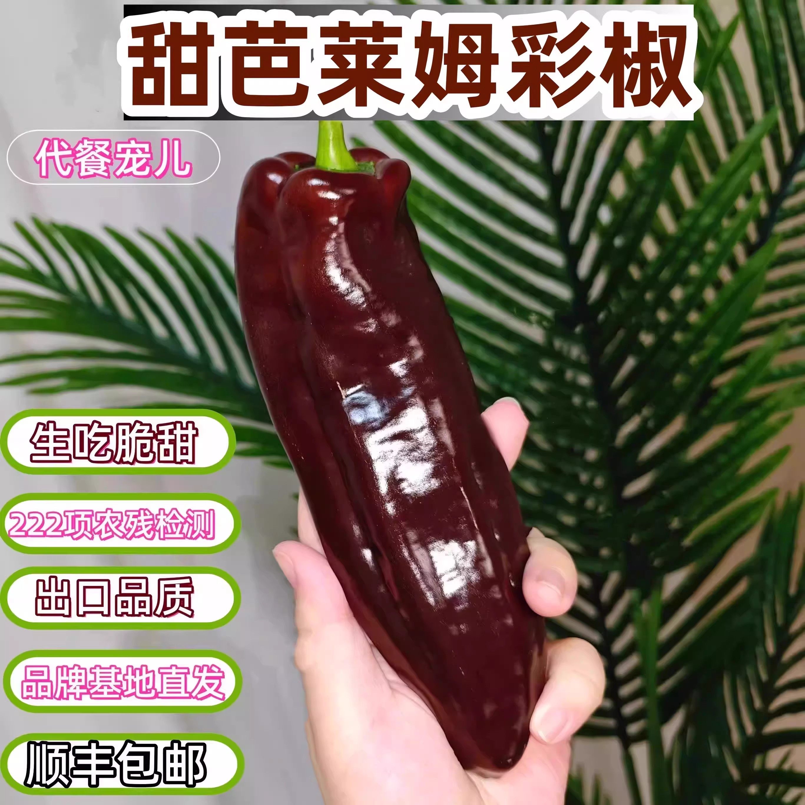 顺丰纯咖芭莱姆水果彩椒当季新鲜咖啡色生吃脆甜不辣黑紫色长甜椒,水产肉类/新鲜蔬果/熟食,辣椒,淘宝优惠券,粉丝福利购,淘宝优惠卷