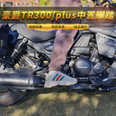 豪爵tr300/plus中置脚踏