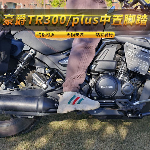 豪爵tr300/plus中置脚踏