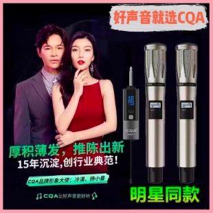 CQA3318 A3317无线手持麦克风室内户外声卡直播唱歌动圈降噪话筒