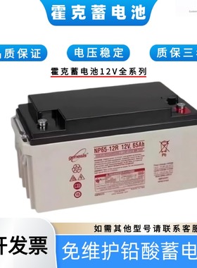 genesie霍克蓄电池NP12V33A24A100A65A40A38A200AH150A120A20A18A