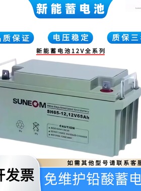 SUNEOM新能SH38-12V38AH120AH100AH65A40A24A20A17A蓄电池UPS消防