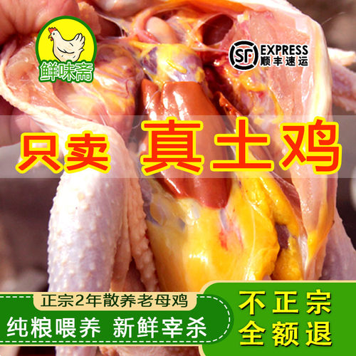 正宗2年老母鸡土鸡草鸡柴鸡孕妇月子鸡新鲜走地鸡黄油粮食散养