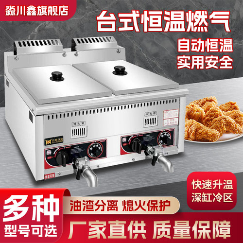 豹鼎台式双缸12燃气自动控温燃气