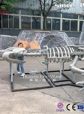 玻璃钢霸王龙化石骨架树脂混合材质商场中庭美陈自贡恐龙厂家