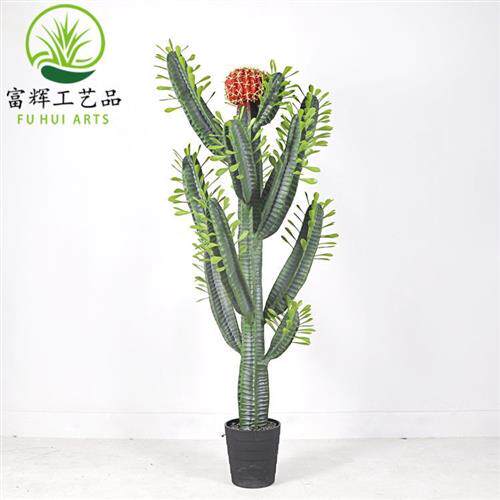 仿真仙人掌仙人棒仙人柱花盆栽假花套装组合家居装饰道具摆件