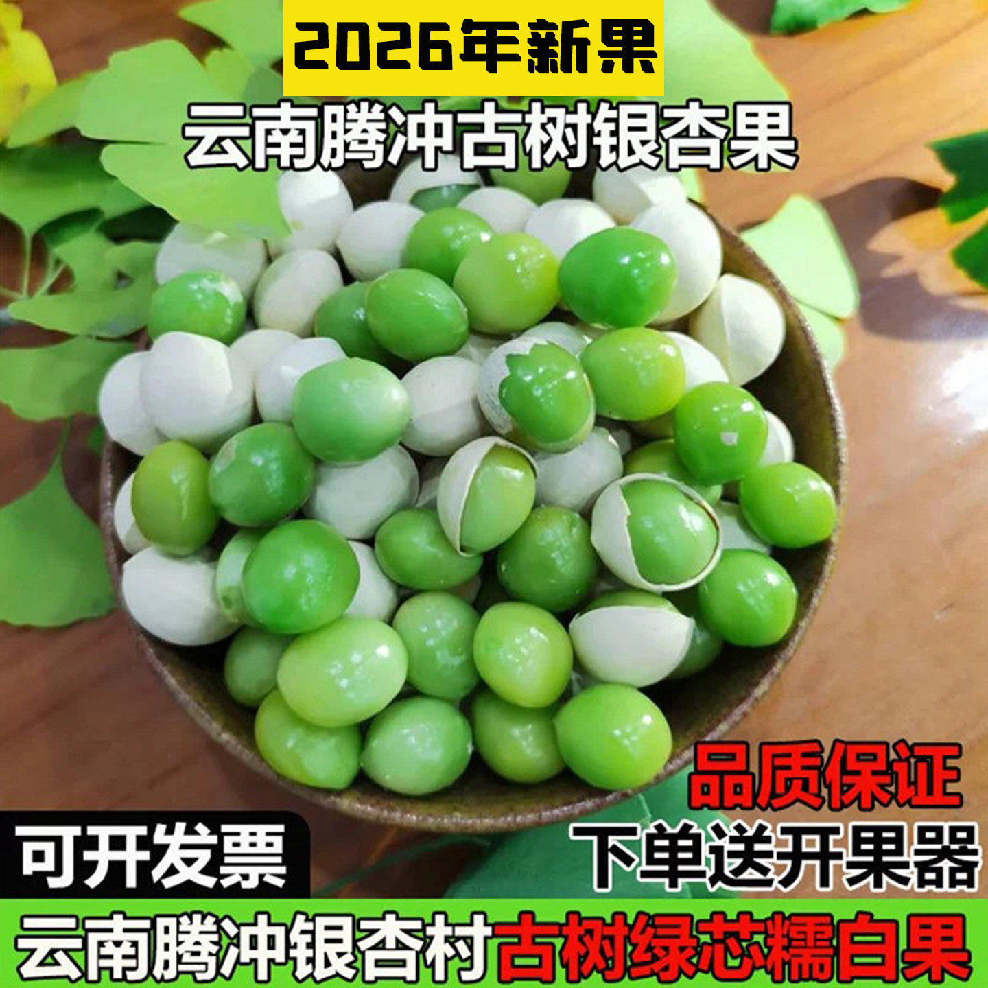 云南腾冲银杏果新鲜古树糯香白果翡翠绿果直发500g包邮2026年大果