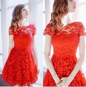 Sleeve Short Lace Dress 蕾丝花边连衣裙女 Round 圆领短袖 Neck