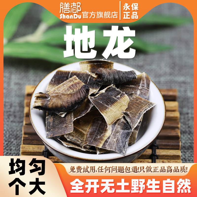 全开地龙中药材无泥无沙切片