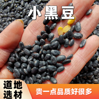 肾形黑豆农家自种黑黄芯黑小豆
