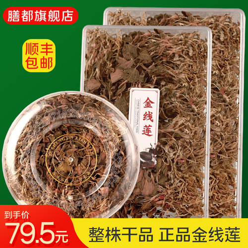 金线莲养生茶干品种植苗养肝花茶正宗新鲜福建土楼金线连整株