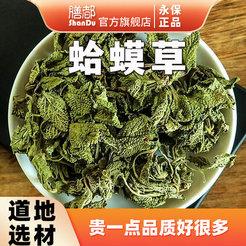 蛤蟆草中药材无硫道地精选
