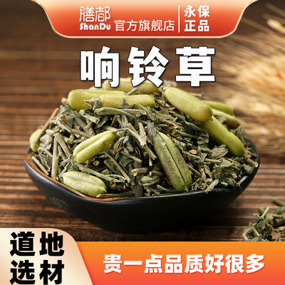 响铃草中药材肾气草非野花生干货