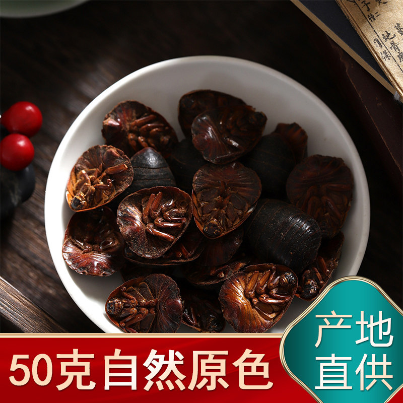 活土元活体土元虫种卵地鳖虫药食中药材土鳖虫接骨虫骨折50g