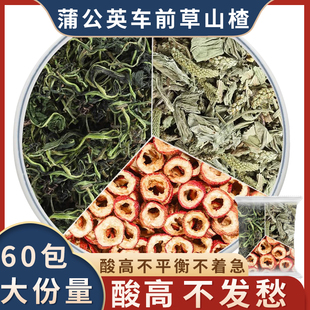 蒲公英车前草山楂正品官方旗舰店浦公英车钱草泡水有什么作用