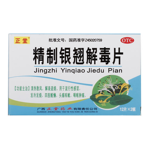 【正堂】精制银翘解毒片44mg*24片/盒