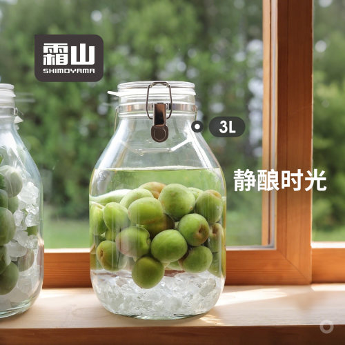 霜山3L大容量梅酒瓶玻璃密封罐家用酿酒泡杨梅酒罐加厚透明带提手
