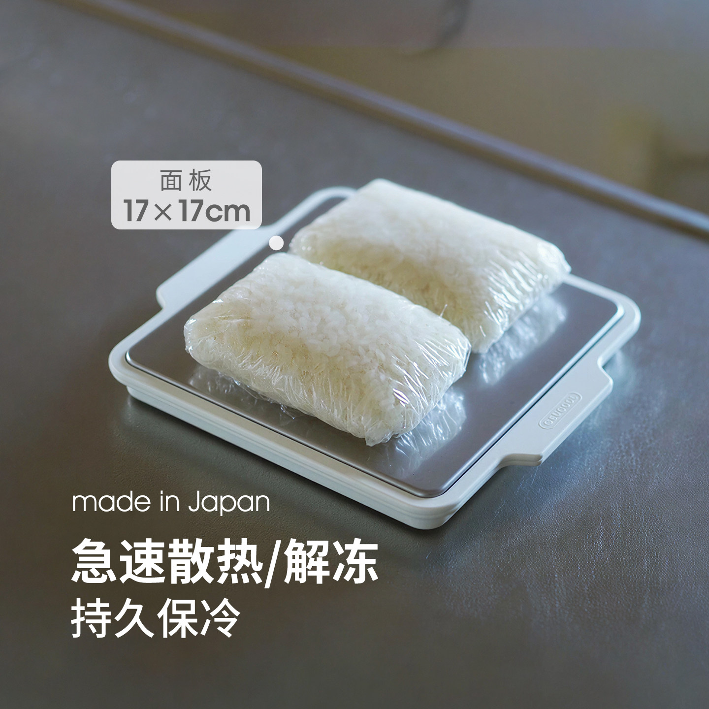 日本进口解冻盘家用快速散热板生鱼片保鲜保冷板厨房食物导热板,厨房/烹饪用具,导热盘/解冻盘,淘宝优惠券,粉丝福利购,淘宝优惠卷