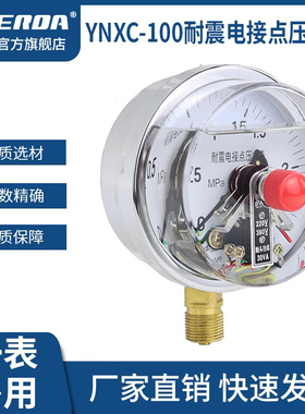雷尔达YNXC100耐震电接点压力表磁助式220V/380V 30VA径向轴向