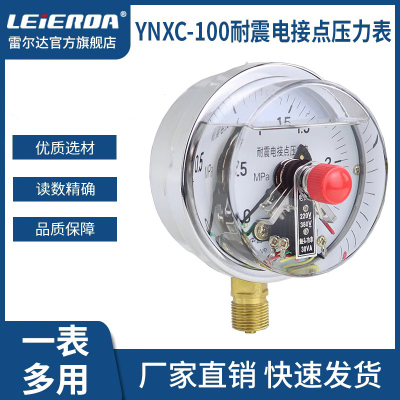 雷尔达ynxc100耐震电接点压力表