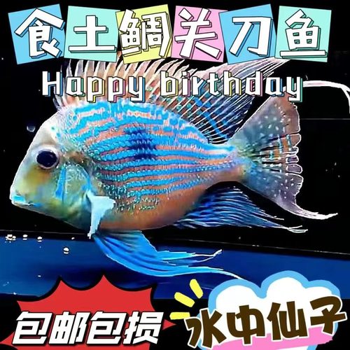 关刀鱼淡水鱼南美食土鲷热水鱼