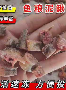 水财神泥鳅段饲料天津龙鱼