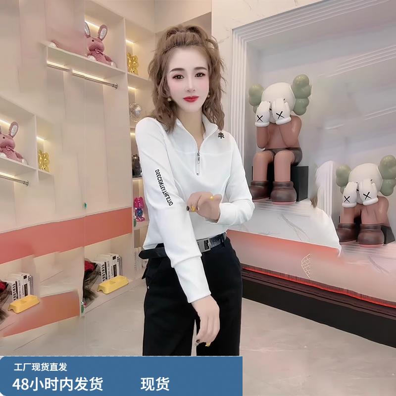 精致字母刺绣立领长袖卫衣女春秋冬百搭保暖修身半拉炼设计感上衣