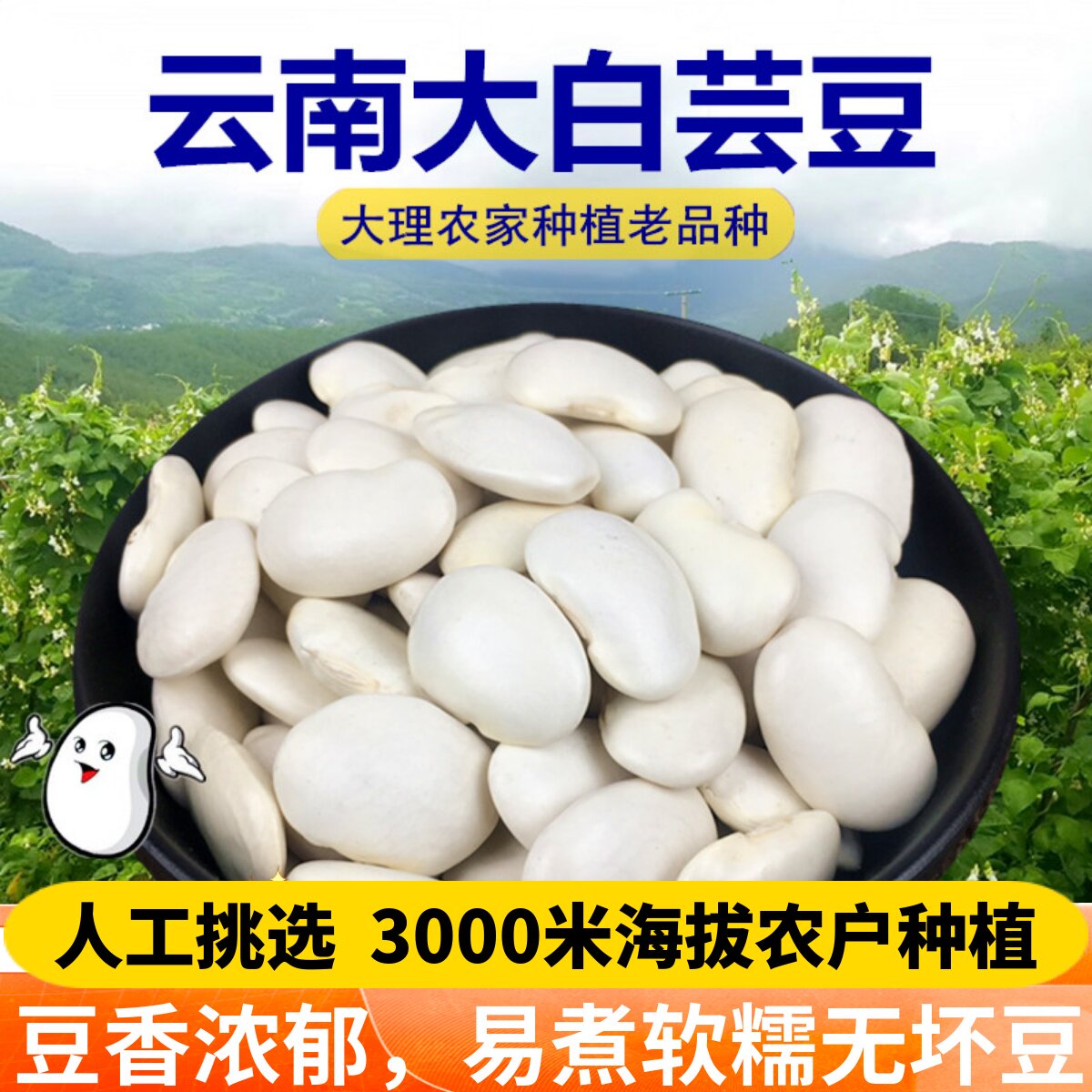 云南大白芸豆新豆农家自种