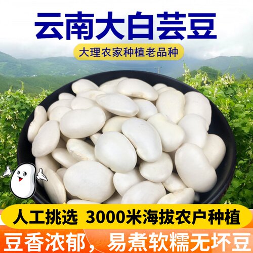 云南大白芸豆新豆农家自种