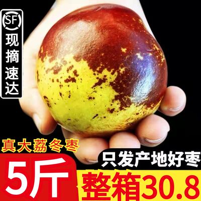 冬枣现货热卖榜第一名！已售1万+