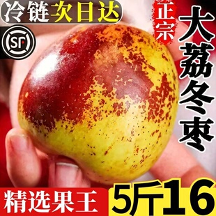 陕西大荔冬枣新鲜水果冰糖脆甜特大5斤包邮孕妇水果当季枣子鲜枣