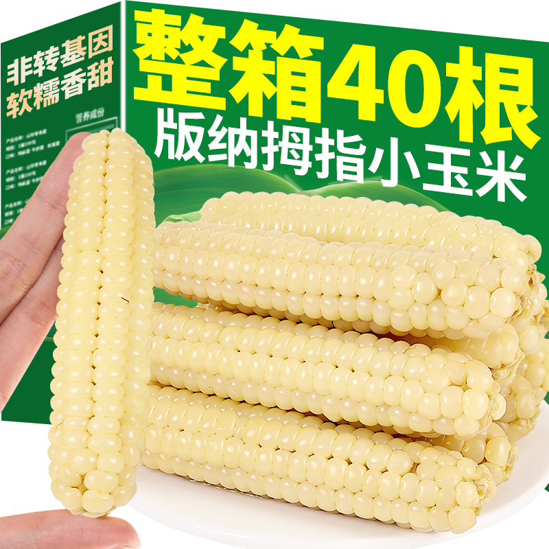 5斤云南西双版纳香糯拇指小玉米